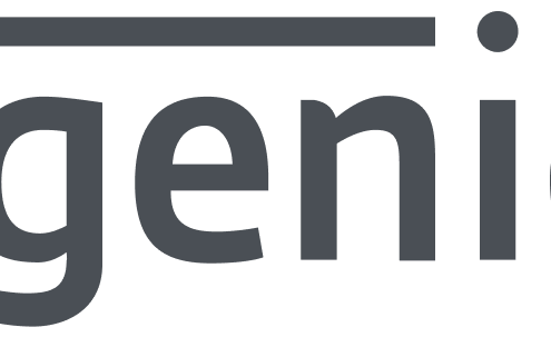 logo - Ingenico