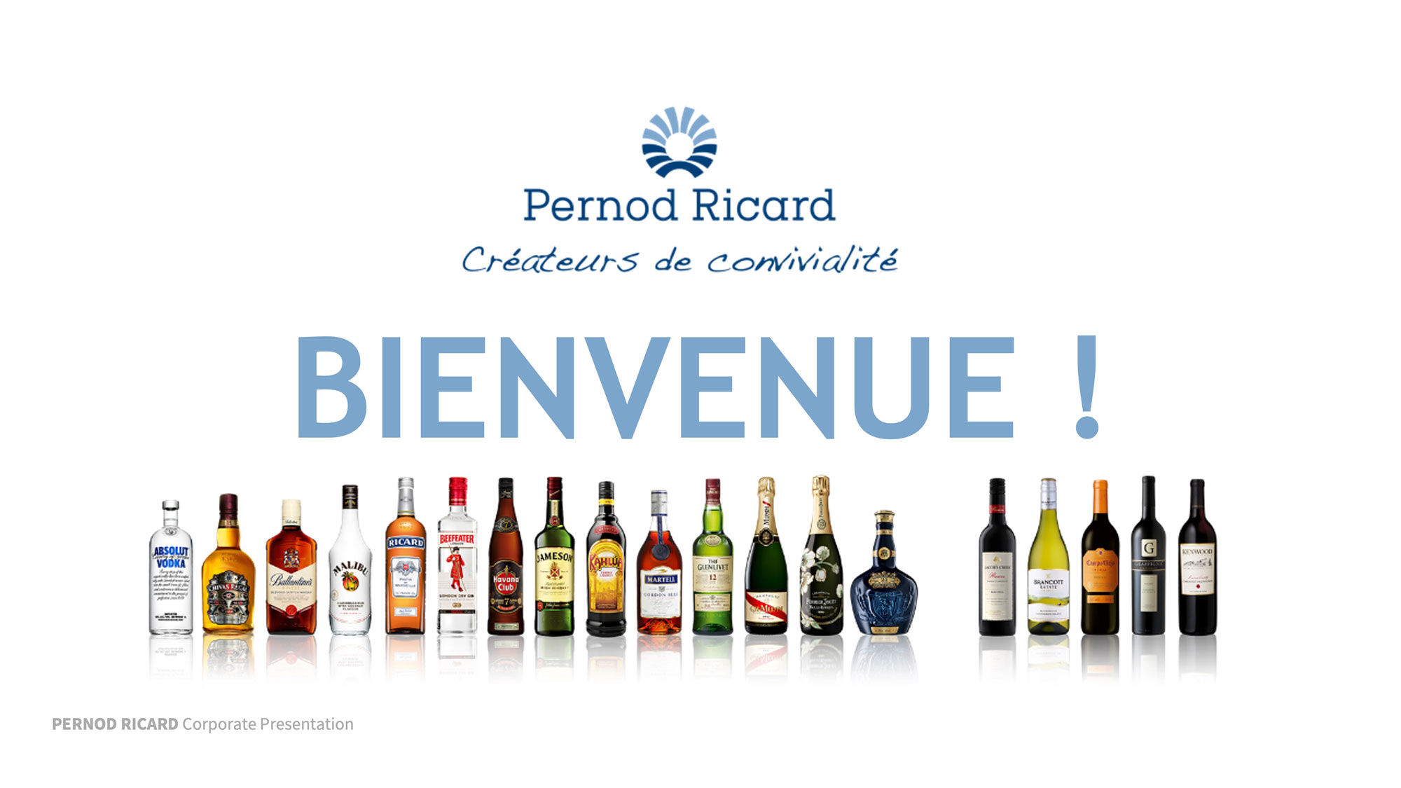 Image d‘un document réalisé par Nostromo, agence de communication, pour Pernod Ricard